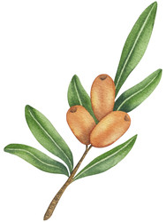 Similar image 22302454