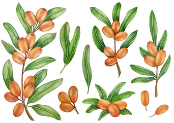 Similar image 22302459