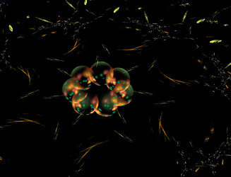 Similar image 22320558