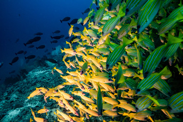 Similar image 22308600