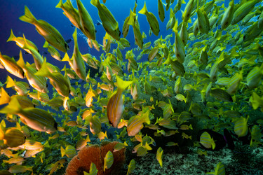 Similar image 22308601