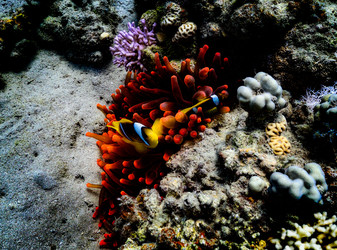 Similar image 22308603