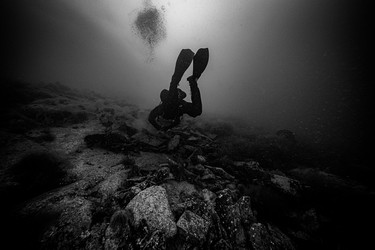 Similar image 22308604