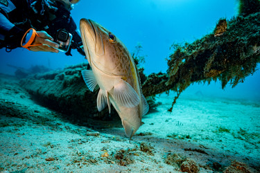 Similar image 22308605