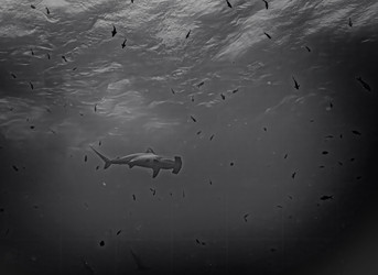 Similar image 22308607