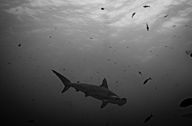 Similar image 22308608