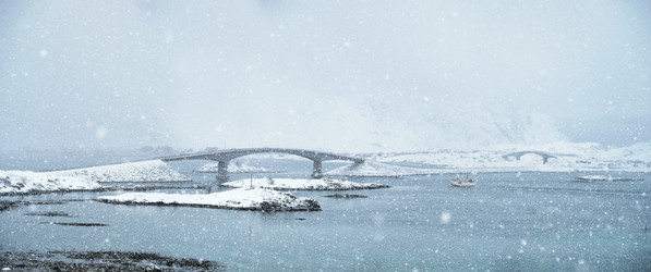 Similar image 22308536