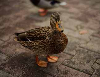 Similar image 22302463