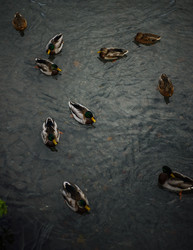 Similar image 22302464