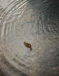 Similar image 22302465