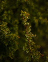 Similar image 22302468