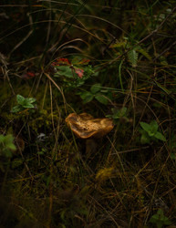 Similar image 22302469