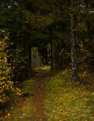 Similar image 22302470