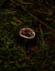 Similar image 22302471