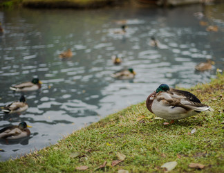 Similar image 22302472