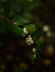 Similar image 22302474