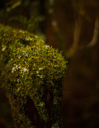 Similar image 22302475