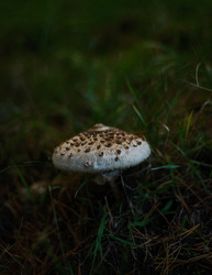 Similar image 22302476