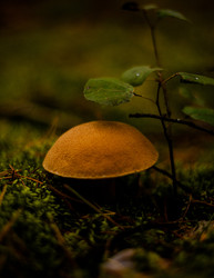 Similar image 22302479