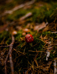 Similar image 22302480