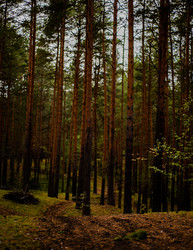 Similar image 22302481