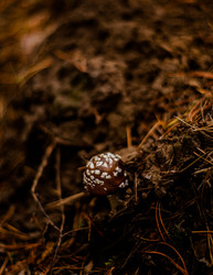 Similar image 22302482