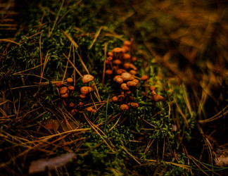 Similar image 22302483