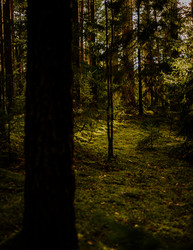 Similar image 22302484