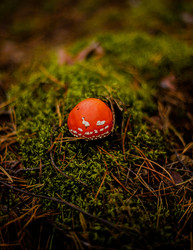 Similar image 22302485