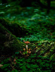 Similar image 22302486