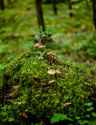 Similar image 22302488