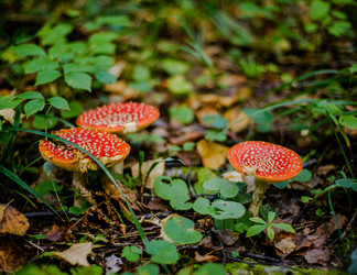 Similar image 22302490