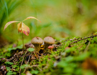 Similar image 22302491