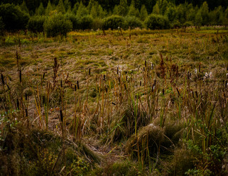 Similar image 22302492