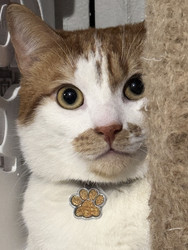 Similar image 22314902