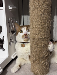 Similar image 22314903