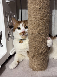 Similar image 22314904