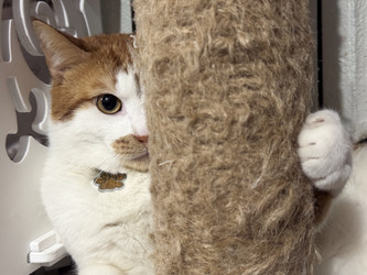 Similar image 22314906