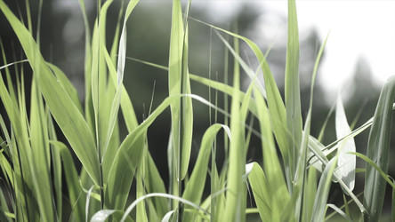 Similar image 22327872