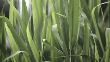 Similar image 22328370