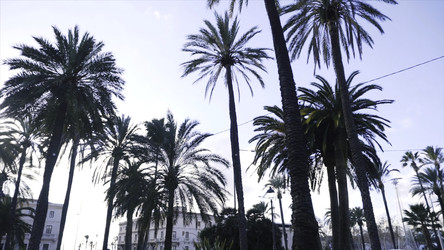 Similar image 22328704