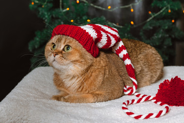 Similar image 22302144