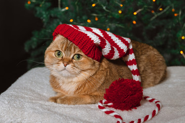 Similar image 22302146