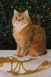 Similar image 22302148