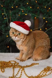 Similar image 22302494