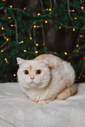 Similar image 22302499