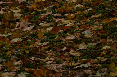 Similar image 22331580