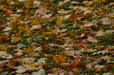 Similar image 22331581