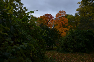 Similar image 22332779