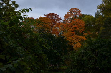 Similar image 22331582